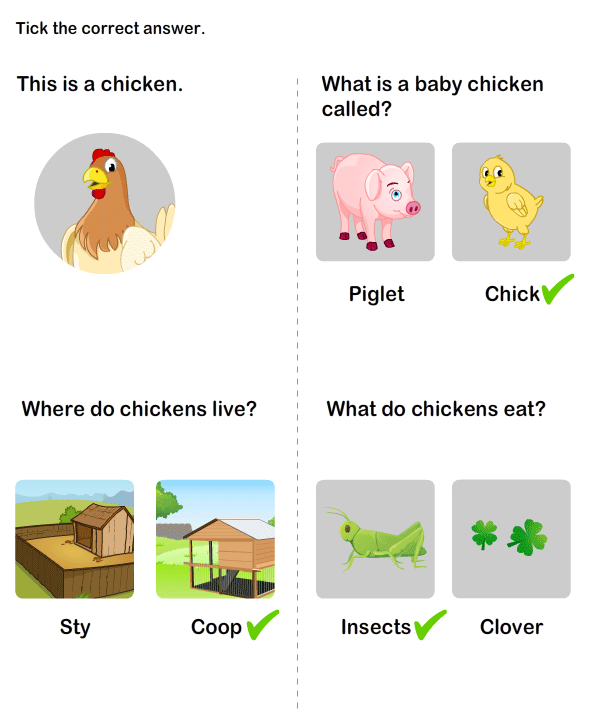 Animals And Their Homes Worksheets | 99Worksheets Animals And Their Homes Worksheets | 99Worksheets