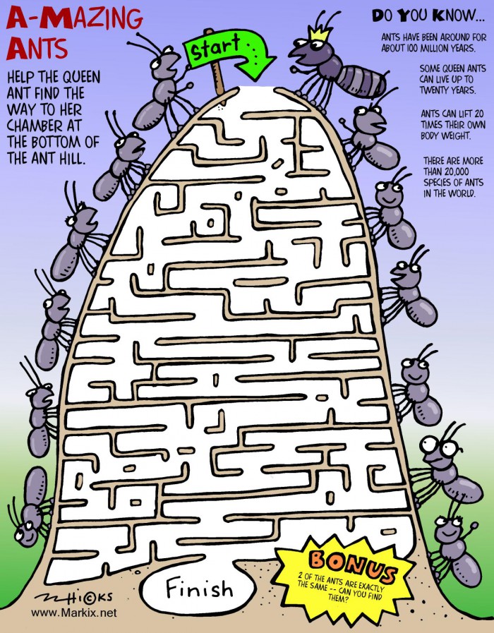 Ant Maze