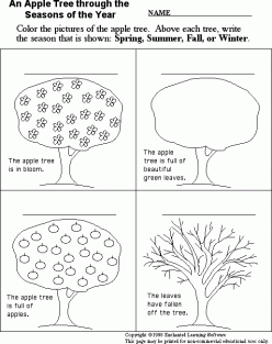 Learn The Four Seasons