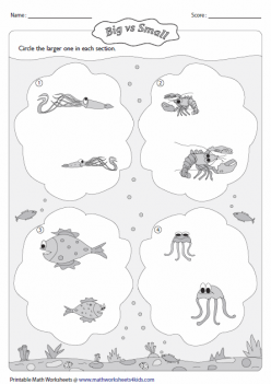 Bigger Or Smaller? Sea Creatures