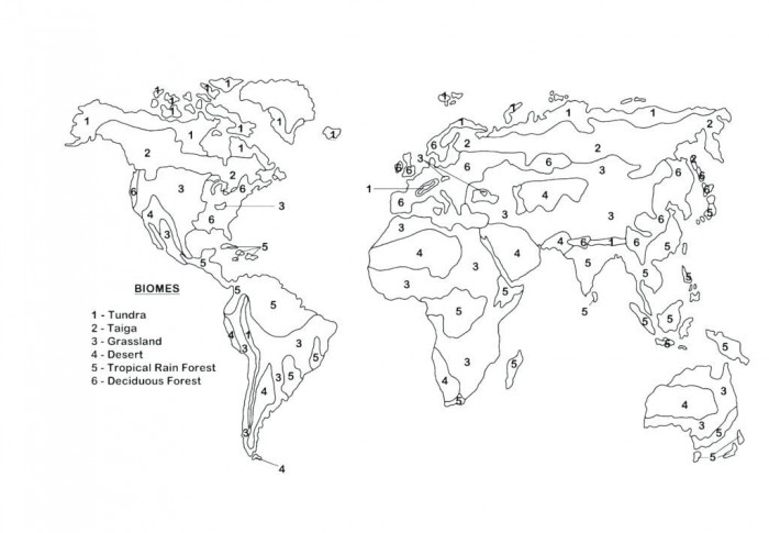 Biome Map Coloring Worksheet Answer Key Kids World