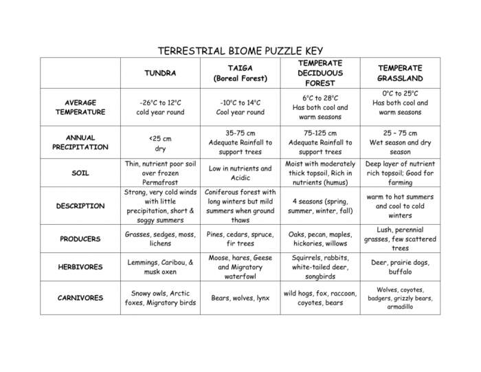 Biome Worksheet Answer Key