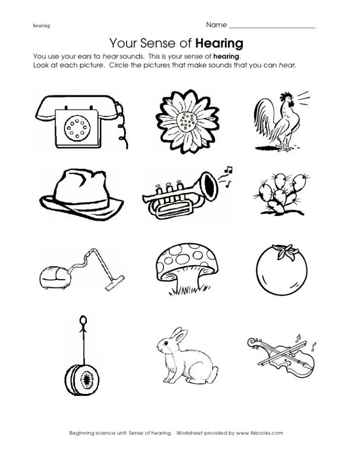 Free Printable Sense Of Hearing Worksheet