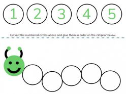 Caterpillar Math