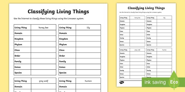 Classifying Living Things Worksheet Teacher Made