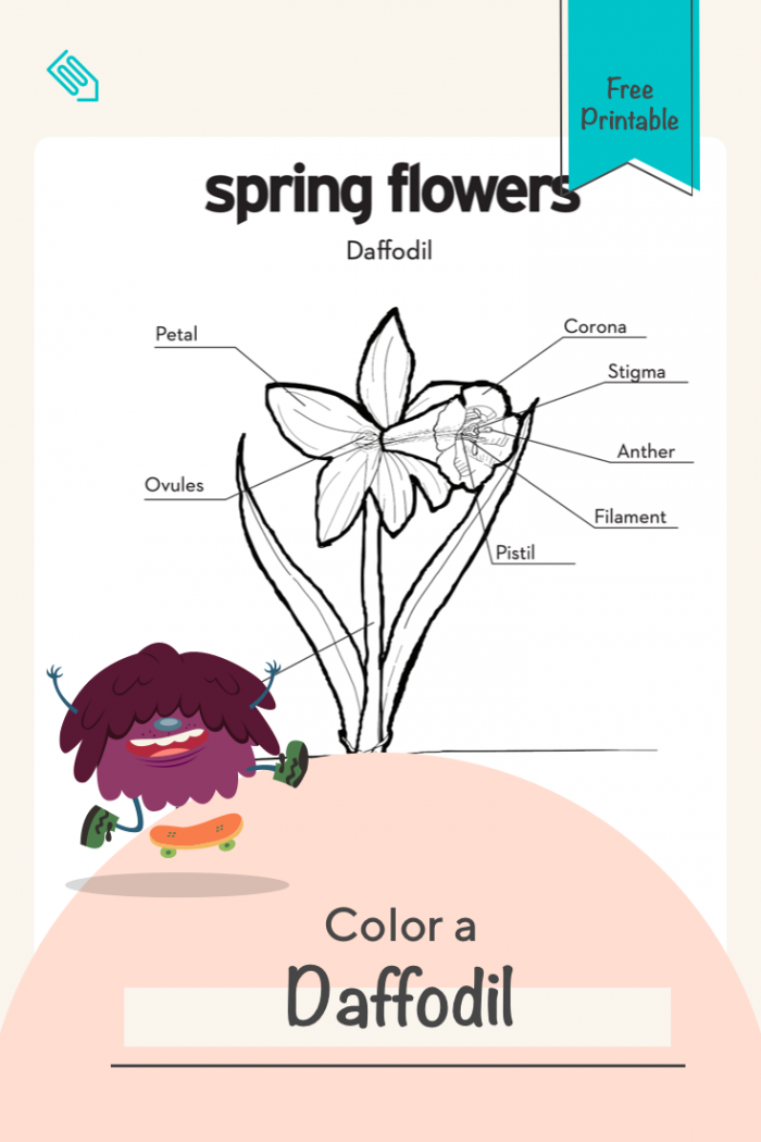 Color A Daffodil With Images