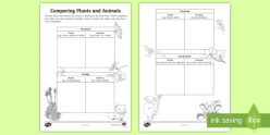 Plants And Animals