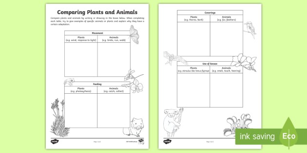 Comparing Plants And Animals Worksheet  Worksheet
