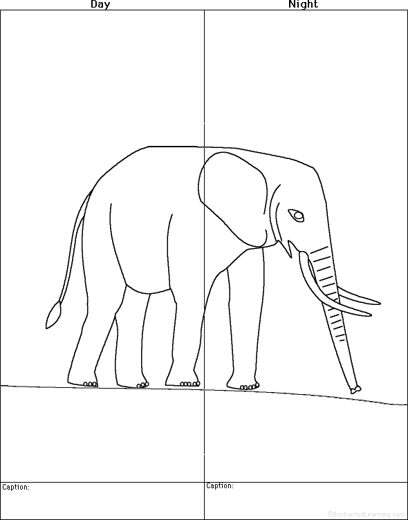 Draw An Elephant  Day And Night