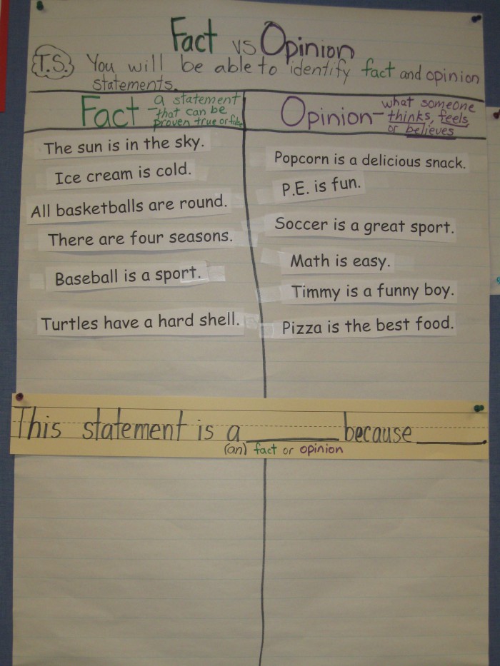 Fact Vs Opinion Use Sentence Frame For Accountable Talk With