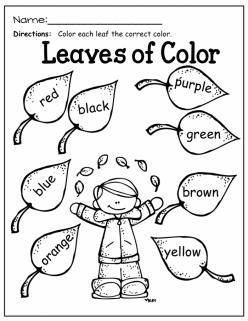 Color By Word