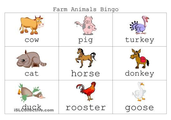 Farm Animal Bingo With Images