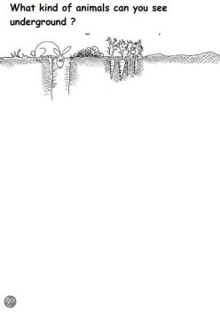 Finish The Drawing: What Kind Of Animals Can You See?