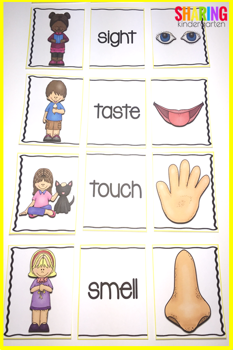 Five Senses With Images