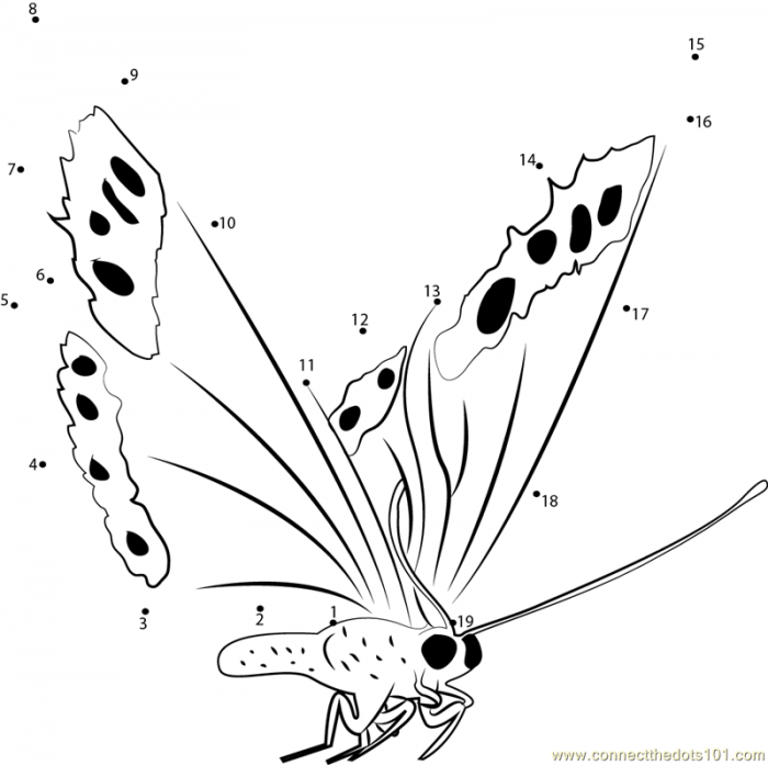Fly Butterfly Dot To Dot Printable Worksheet