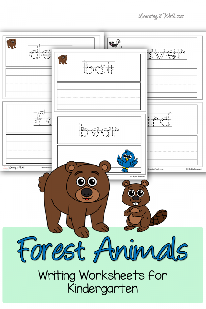 Forest Animals Kindergarten Number Worksheets
