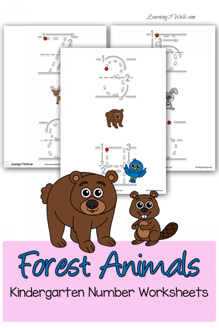 Forest Animals Kindergarten Number Worksheets