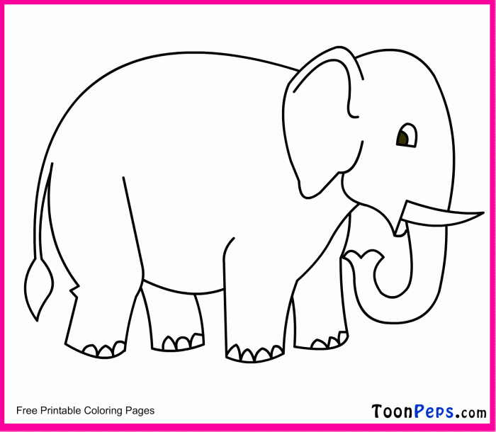 Free Elephant Drawing For Kids  Download Free Clip Art  Free Clip