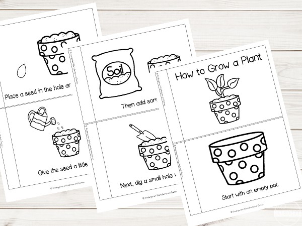 Free Grow A Plant Sequencing Worksheets