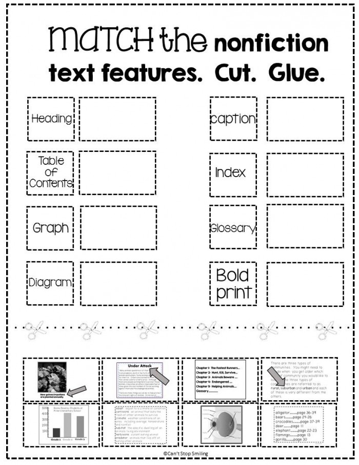 Free Nonfiction Text Features Matching Activity