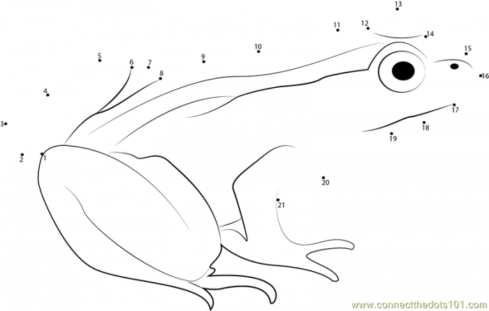 Frog Connect The Dots Worksheets Printable For Kids