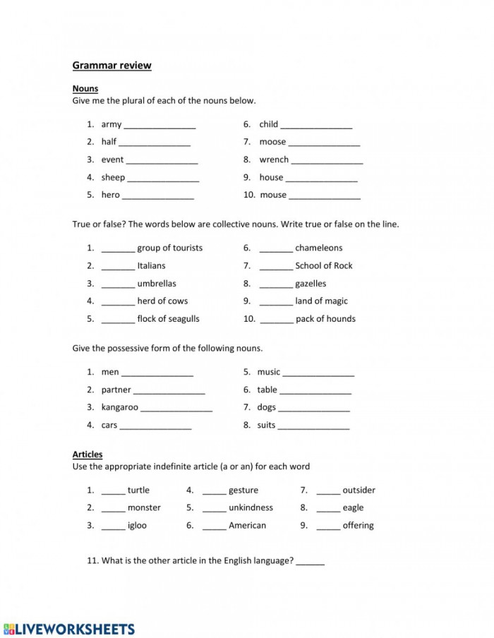 Grammar Review Nouns  Articles  Pronouns  And Adjectives
