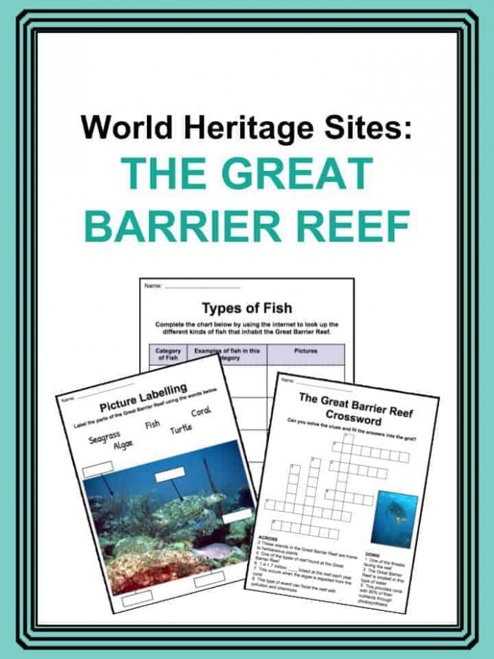 Great Barrier Reef Facts  Worksheets  Ecology   Geology For Kids