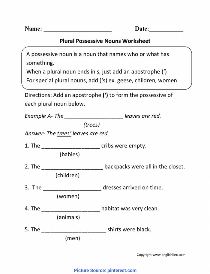 Plural Versus Possessive Worksheet