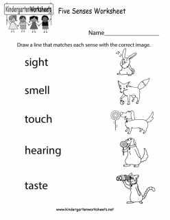 kids can match the images with corresponding senses in this free 7