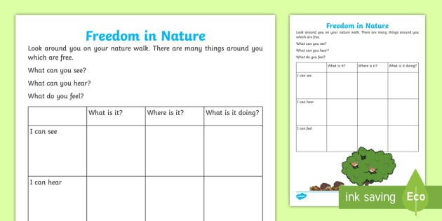 Ks Freedom In Nature Worksheet  Worksheet Teacher Made