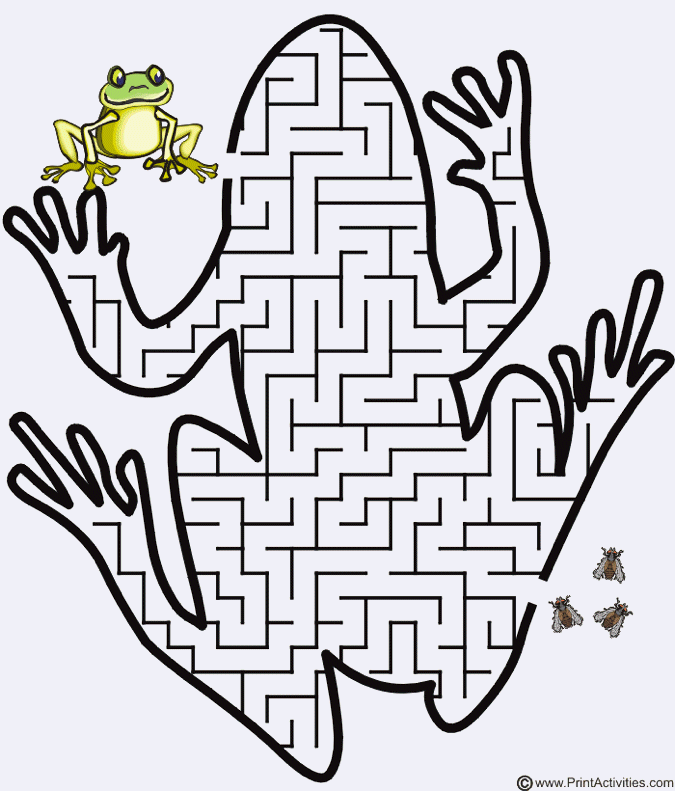 Leap Year Frog Party Game  Frog Maze From Print Activities Kids