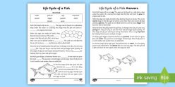 Life Cycle Of A Fish