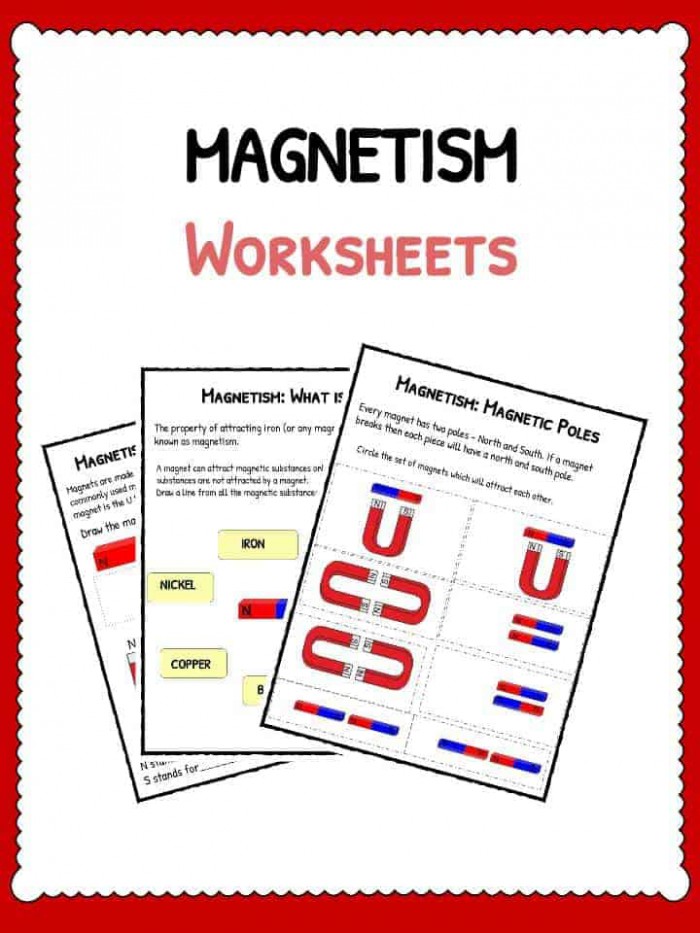 Magnetism Worksheets