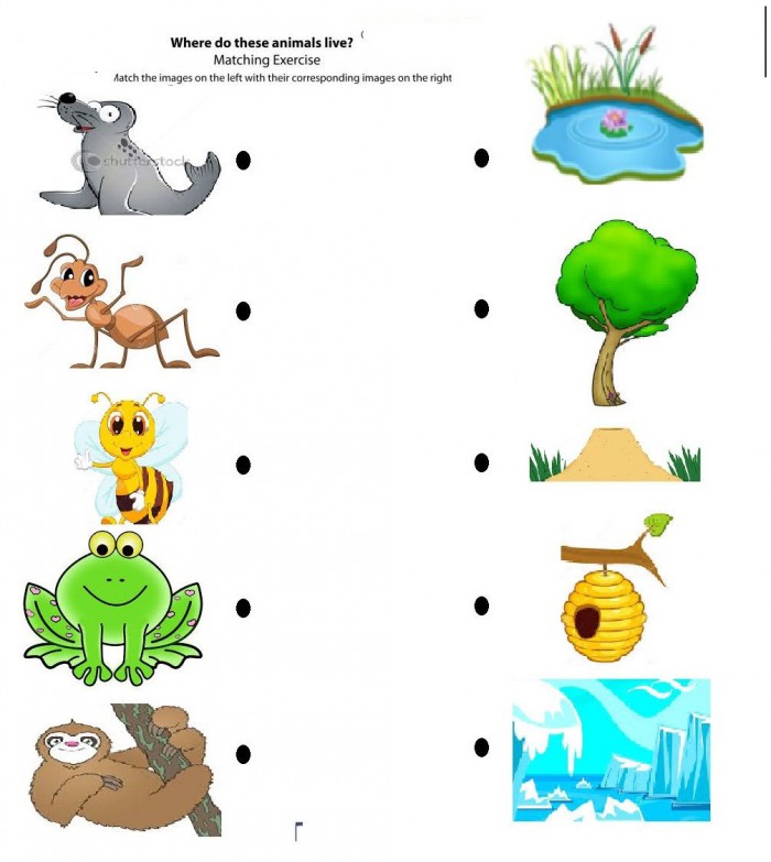 Matching Animals To Their Home Worksheet