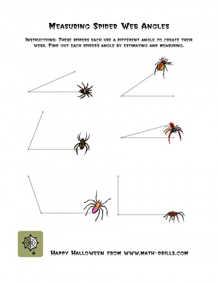 Measuring Spider Web Angles