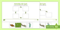 Life Cycle Of A Butterfly