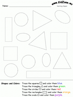 Shapes In The Forest