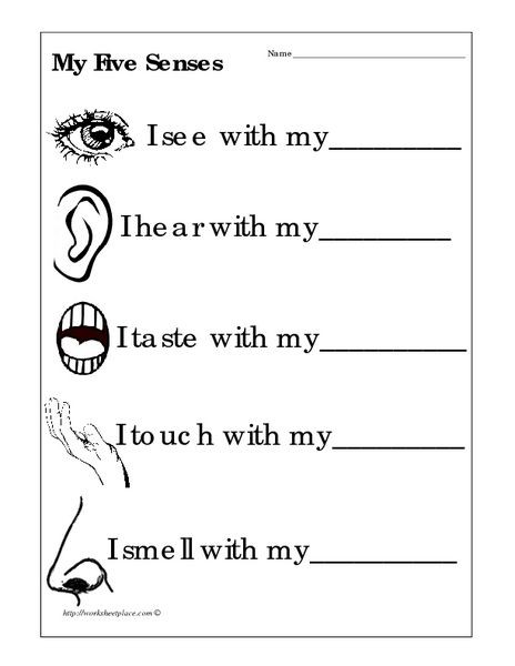 the five senses worksheets 99worksheets