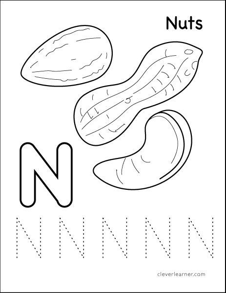 N Is For Nuts Tracing Activity Sheets With Images