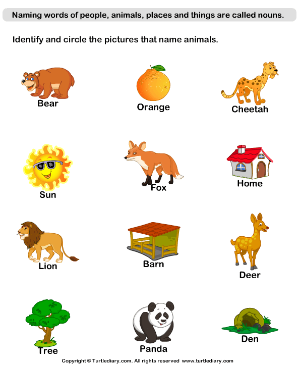 Animal Nouns Worksheets | 99Worksheets