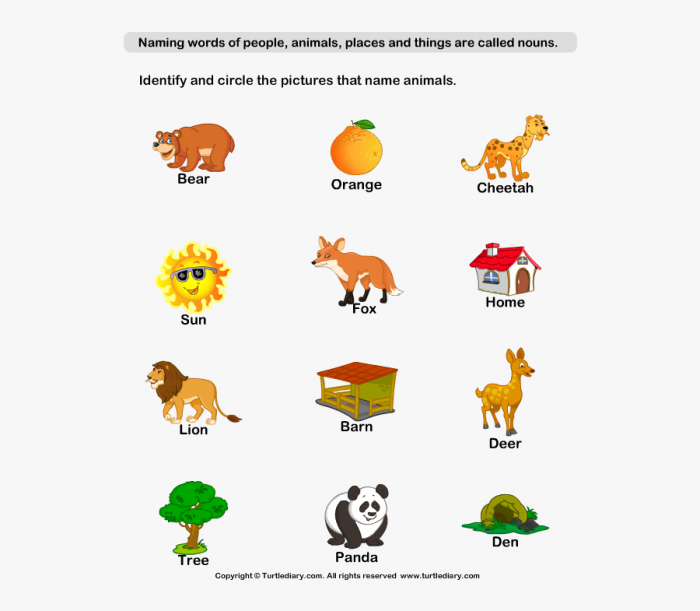Naming Animal Nouns Worksheet