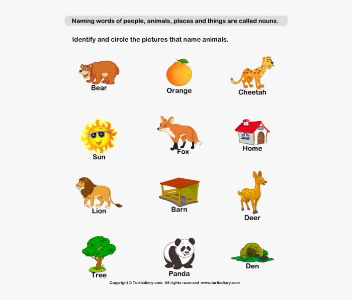 animal-nouns-worksheets-99worksheets