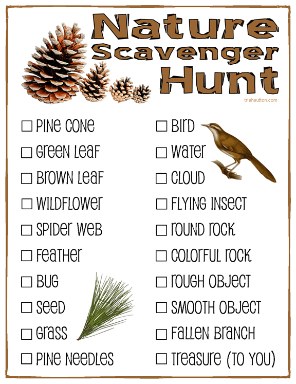 Nature Scavenger Hunt Free Printable For Kids By With Images