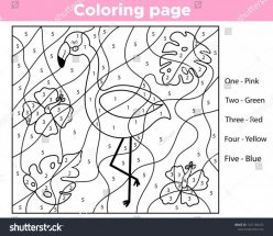 Color By Number Flamingo