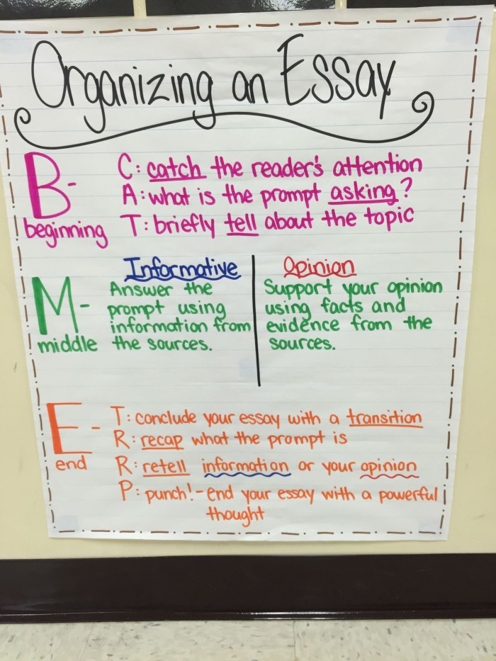 Opinion Essay Anchor Paper Worksheets 99Worksheets