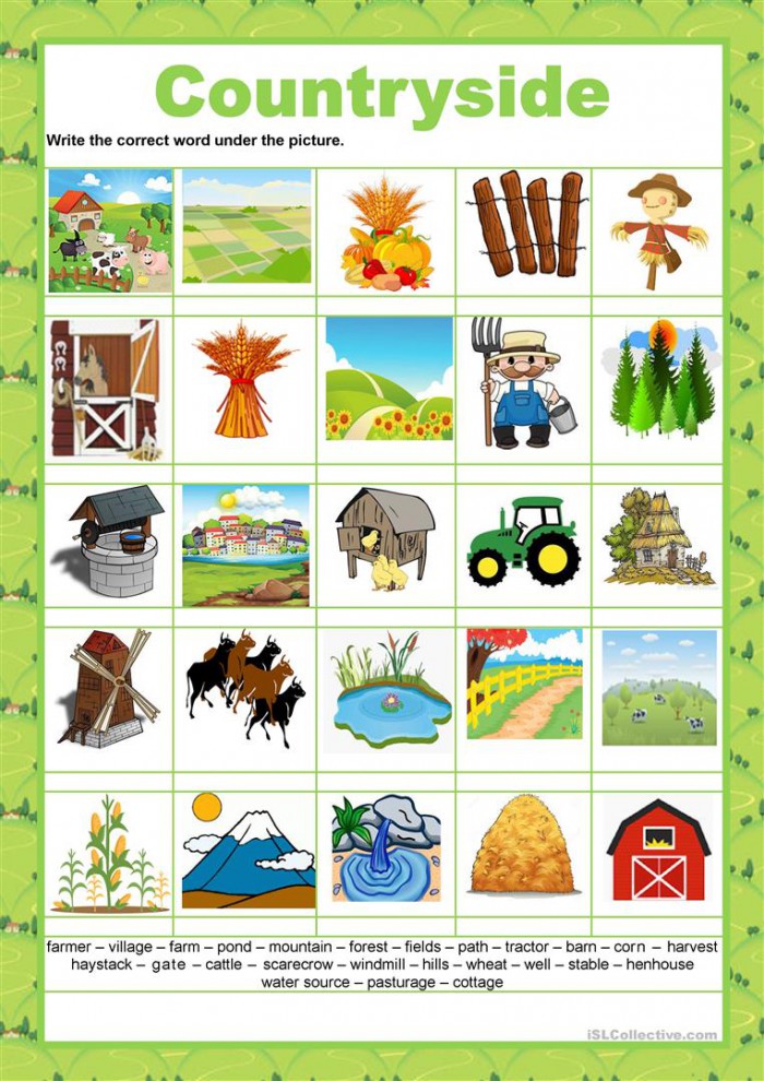 french vocabulary the countryside worksheets 99worksheets