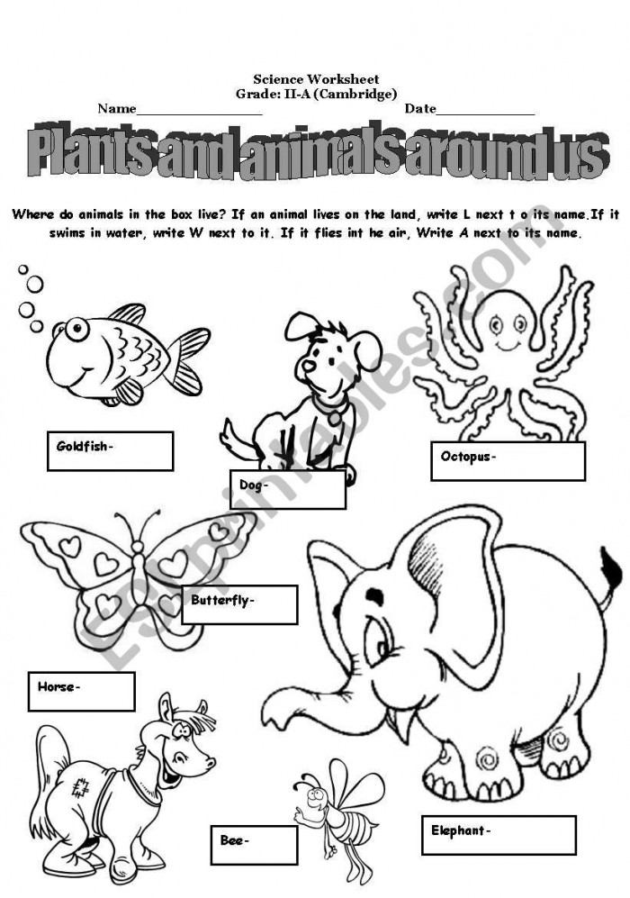 Plants And Animals Worksheets | 99Worksheets Plants And Animals Worksheets | 99Worksheets