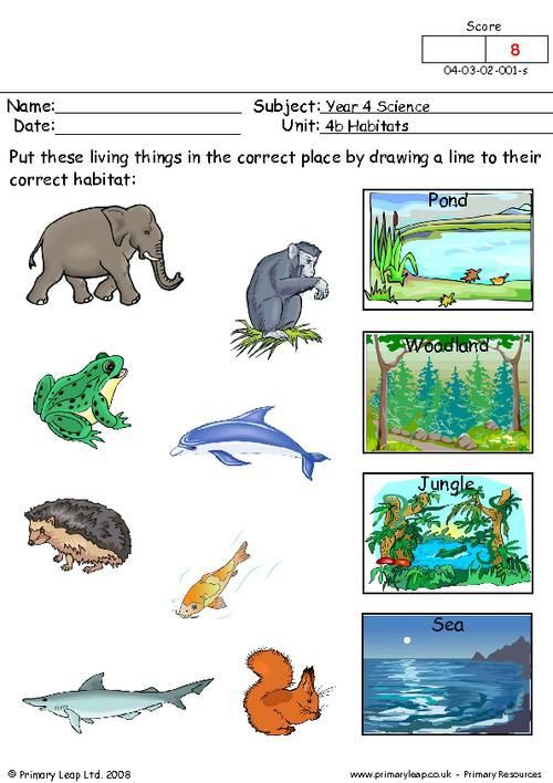 Where Do Animals Live? Worksheets | 99Worksheets