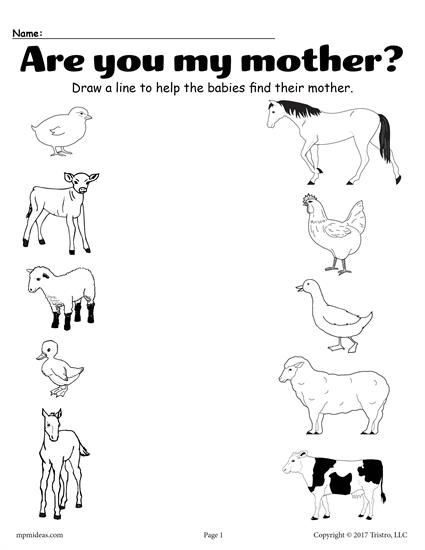 Printable Animal Matching Worksheet With Images