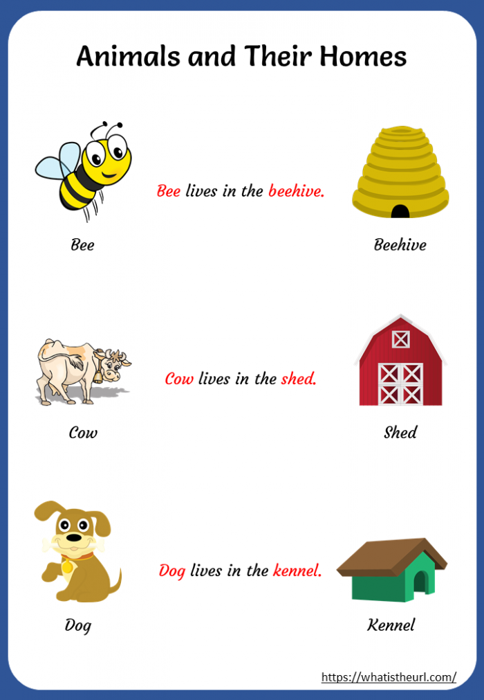 Printable Animals And Their Homes Worksheets